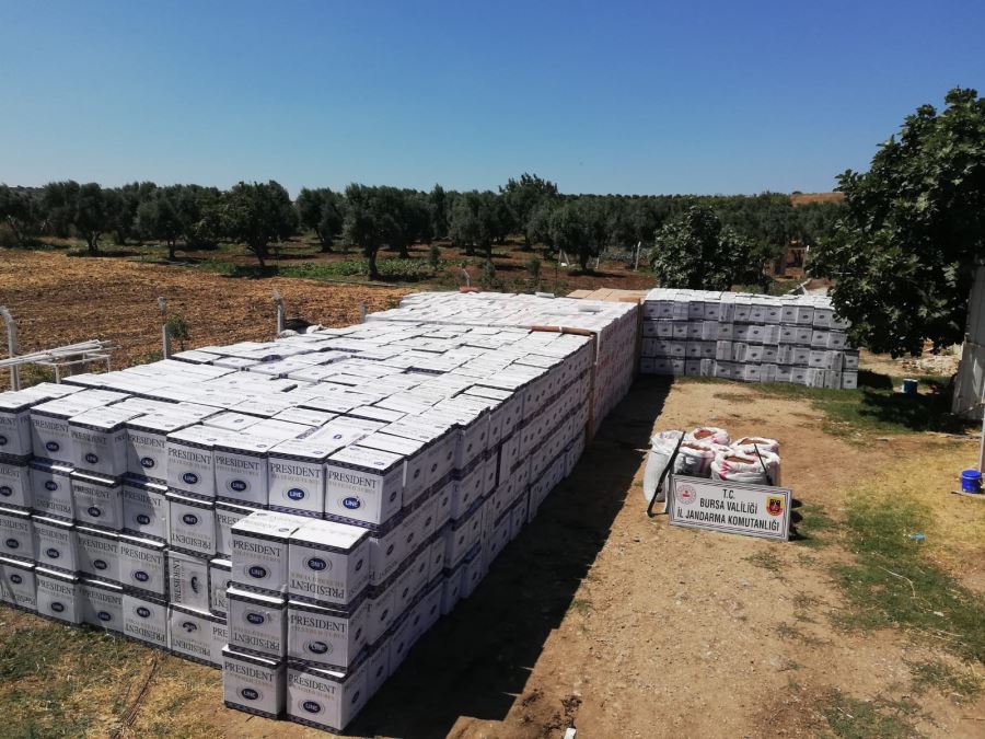 260 Kilo kaçak tütün ele geçirildi