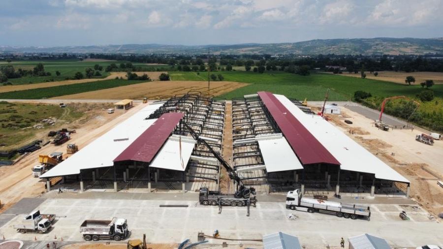 Hayvan pazarı için çalışmalar dört koldan devam ediyor