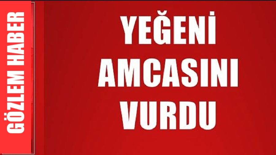 Amcasını vuran yeğen Jandarma tarafından yakalandı