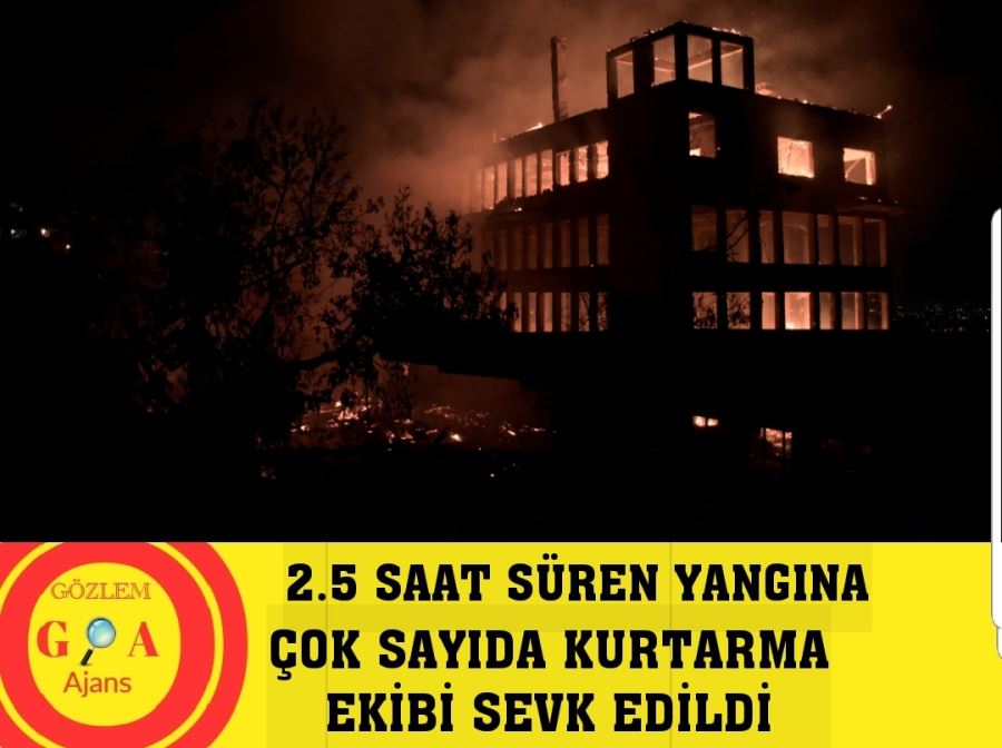 Bursa