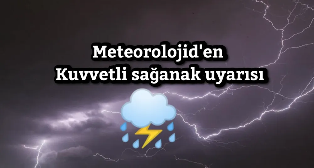 Meteorolojid