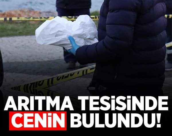 Arıtma tesisinde cenin bulundu!