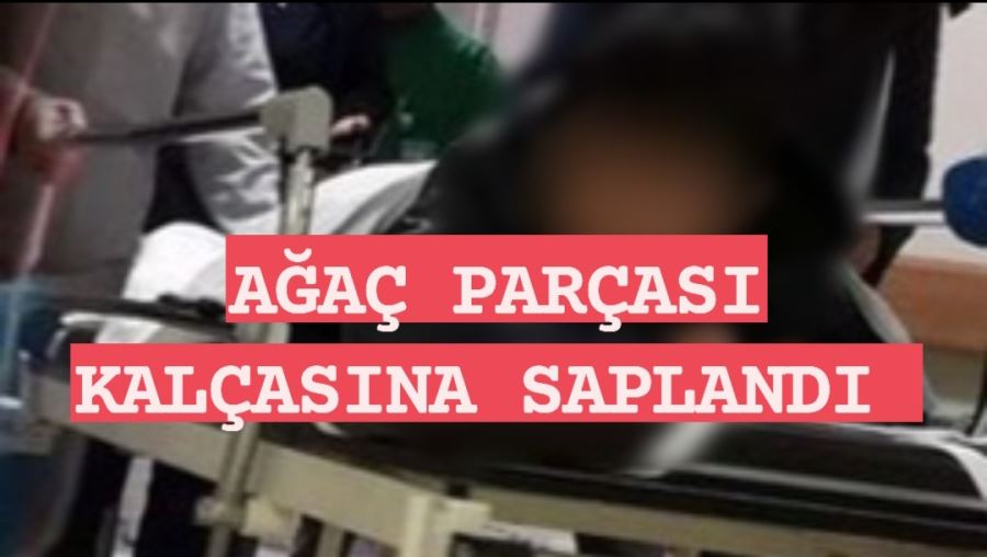 Makineden fırlayan ağaç parçası kalçasına saplandı