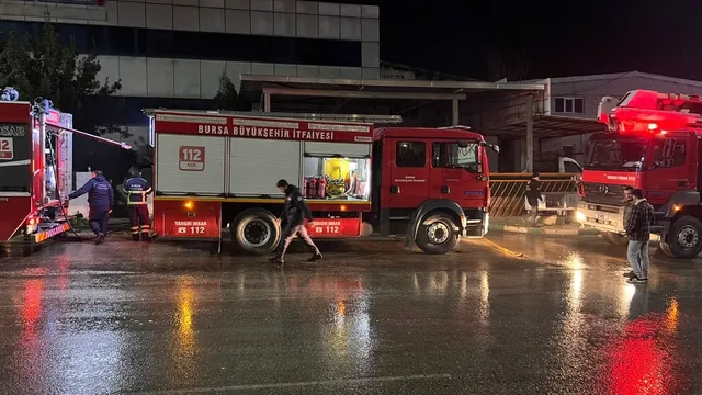 Bursa