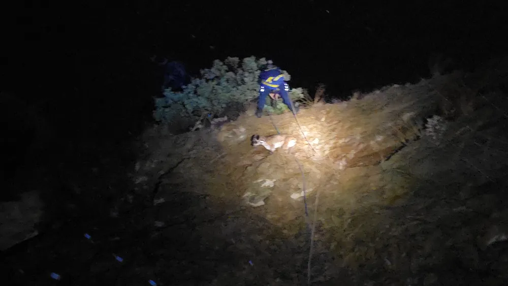 Zemin elvermedi, itfaiye halatla indi: Köpek güvenli şekilde kurtarıldı