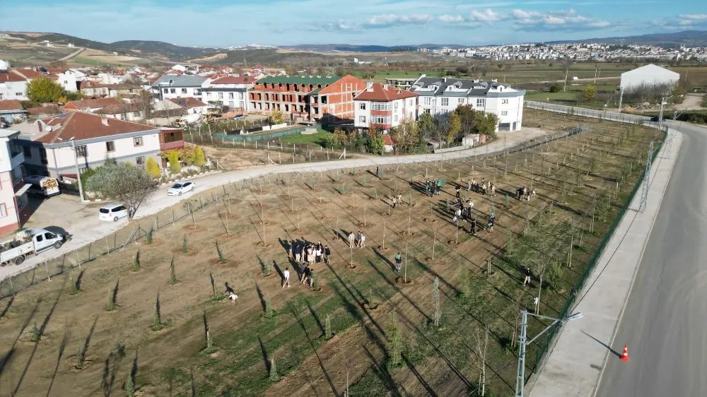 572 Fidanlı koruluk Akhisar’a nefes olacak