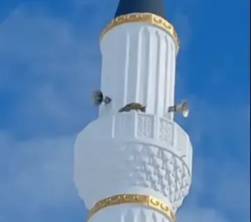 Minareye çıkan tilki hayrete düşürdü