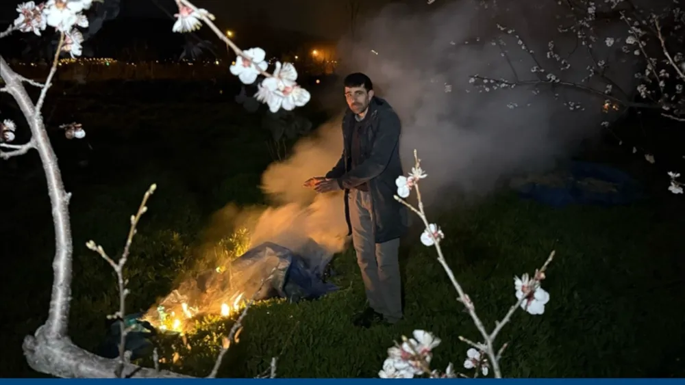 Çiçek açan ağaçlar için gece ateş başında nöbette