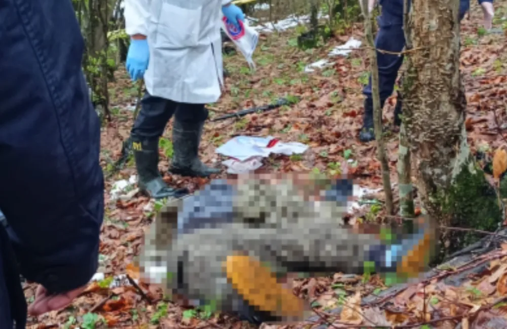 23 yaşındaki genç ormanlık alanda tüfekle vurulmuş halde ölü bulundu.