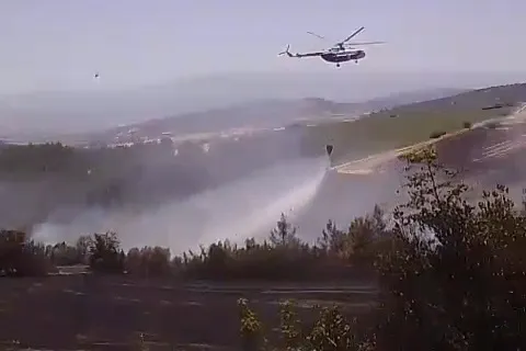 Yenişehir’de Tarlada Başlayan Yangın Ormana Sıçradı