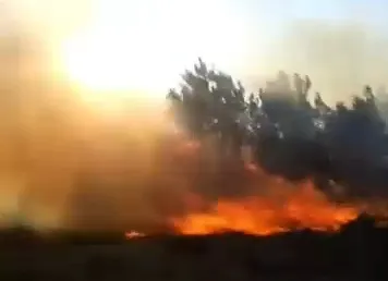Mudanya’daki orman yangınına ekipler müdahale ediyor